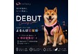 株式会社infinity、ライフスタイルWeek 【夏】2026にて自社ブランド商品「よるんぽ応援隊」を発表