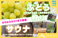 “サ旅”という新しい旅の形を岐阜から発信 第一弾は体験農園みとかとコラボした「ぶどう狩りとサウナ」プランでととのう1日体験を8月9日より開催