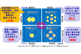 【いのち会議】~いのち宣言をつなぐ「100のアクション」~ 第1弾「知識創造理論、SECIモデルの実践」