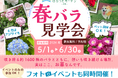 静岡県伊東市にある大型樹木葬霊園『はなうたガーデン-伊東-』が春バラ見学会＆フォトイベントを開催！（6月30日(火)まで）