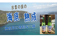 [しまね海底熟成サービス　～神在月に特別な一献～]