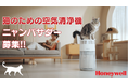 2月22日は猫の日!猫と暮らす家庭の4大お悩みを解消!Honeywell空気清浄機、発売前にアンバサダー大募集