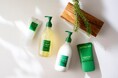 韓国発ヴィーガンビューティーブランド「AROMATICA」とOZmallがコラボレーション！人気のローズマリーシリーズを使用したヘッドスパプランを20サロンで展開