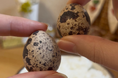 年始の『うずら卵余剰』による廃棄危機を救う。愛知県の養鶉農家がフードロス削減に向けた“生卵セット”の緊急販売を開始
