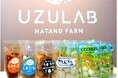 鶏卵高騰の陰でうずらの卵300万個が廃棄危機。日本一の養鶉（ようじゅん）産地・豊橋の「幡野ファーム」が、フードロス削減を目指す緊急クラウドファンディングを開始