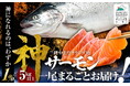 【岩手県山田町　オランダ島サーモン】全体から１％しか獲れない幻の個体オランダ島“神”サーモンに認定へ