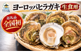 日本初！【岩手県山田町】東日本大震災で消えた「幻の牡蠣」ヨーロッパヒラガキがふるさと納税返礼品に初登場！