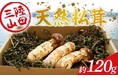 金額を抑えたミックスサイズも!岩手県山田町、秋の味覚松茸をふるさと納税返礼品受付開始