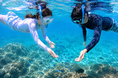 夏はまだまだ終わらない！9月1日より御座白浜でご宿泊者様限定のシュノーケリングツアーがスタート！透明度が高まるこれからの海で感動の水中の世界へ