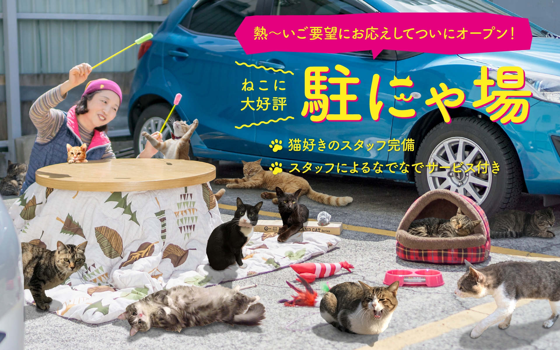 日本初！akippaがネコ専用駐にゃ場をオープン！