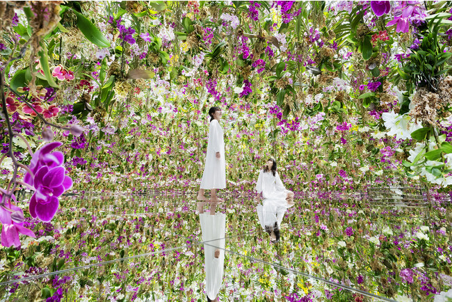 チームラボ《Floating Flower Garden; 花と我と同根、庭と我と一体》(C)チームラボ チームラボ《Floating Flower Garden; 花と我と同根、庭と我と一体》(C)チームラボ