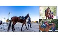 【ヒルトン成田】競走馬育成の地、成田で遊んで学ぶ 〈1日2組限定〉「乗馬体験プラン~ウマ活~」販売スタート!