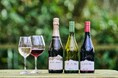【箱根リトリート före & villa 1/f】箱根の新緑に包まれて味わう、森にほどける一杯。「クラウディー ベイ」のフリーフロー滞在