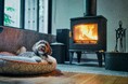 【箱根リトリート före & villa 1/f】愛犬と過ごす森の時間を、映像で可視化 ドッグフレンドリーヴィラを舞台に描く滞在映像