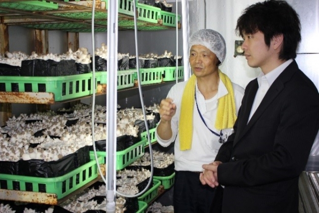 株式会社雪ん子の福安社長にエリンギやしめじの菌床に案内される岸本料理長