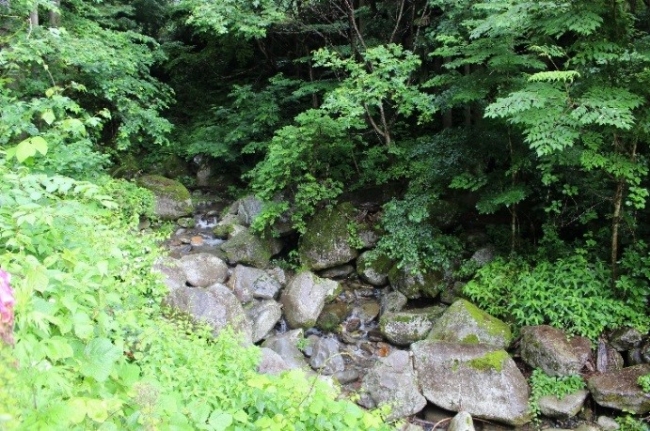 オワイの沢