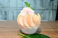 「第2回ふくしまの今をひらく~ふく福祭り~」知って福!食べて福!の美味しいPOP UPイベント開催決定!