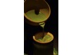 世界初「竹で飲む抹茶ラテ」がSNS総再生回数1.5億回を突破。築地発「IPPUKU」が提案する、伝統と地域を未来につなぐ新しい日本茶体験