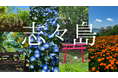 【香川県・志々島】の魅力発信とSNS活用支援をトータル実施|観光プロモーション|女子旅メディア「土曜日の小旅行」との連携で、新たな観光誘客を目指す