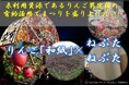 未利用資源のりんご剪定枝を原料にねぷた/ねぶた用の和紙を作製