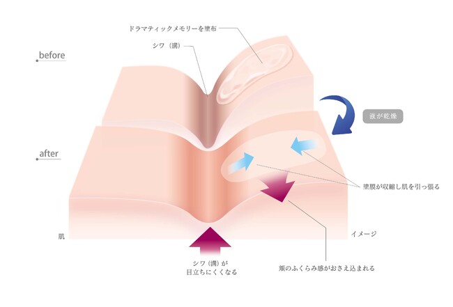 本商品の物理的効果（イメージ）