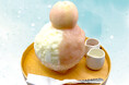 かき氷専門店『しろいくも』梅田あら川の桃を満喫できる『桃フェス』を開催!