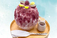 かき氷専門店『しろいくも』梅田より期間限定!人気の『かき氷』が続々登場!