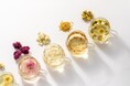 【初出店!】10月24日から柏高島屋 柏の名店や伝統工芸が集まる“TSUNAGU展”に花茶と果茶専⾨店「fuacha」が出店します!