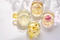 【柏高島屋】ご好評につき再出店!花茶と果茶専門店「fuacha」ポップアップストア 《オリジナルブレンドが楽しめるイベントを開催》