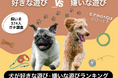 【飼い主374人に調査】犬が好きな遊び・嫌いな遊びTOP10!1位が被る、まさかの事態…!理由を徹底分析。