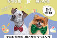 【飼い主373人に調査】犬が好きな色・嫌いな色TOP10!見えないはずの“あの色”が1位に!?
