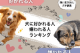 【飼い主356人に調査】犬に好かれる人・嫌われる人ランキング!モテるポイントは“ちょうどいい距離感”!