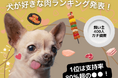 【飼い主400人に調査】犬が好きな肉1位はダントツで●●!飼い主が語る“うちの子の推し肉”エピソードが続々!