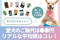 【飼い主500人に調査】愛犬のご飯代、最多は月5,000円台。サイズ別・理想の価格も大公開!