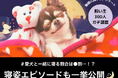 【飼い主300人に調査】愛犬と一緒に寝る割合は約8割!あなたの愛犬も当てはまる?共感必至の“寝姿あるある”とは