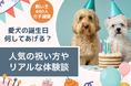 【飼い主400人に調査】毎年祝う派が約7割!笑って泣ける、愛犬の誕生日エピソードが満載