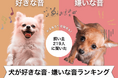 【飼い主219人に調査】犬が好きな音・苦手な音とは?あるある回答満載!
