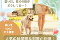 【飼い主400人に調査】暑い日の愛犬の散歩をどう乗り切る?人気の時間帯は意外にも“あの時間”!