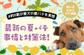 【飼い主400人に調査】今年の猛暑で8割の犬が体調不良に!体調変化から見えた“夏バテ対策のリアル”とは