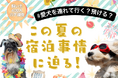 【飼い主400人に調査】夏の旅行、愛犬は一緒?預ける?みんなのリアルな選択とは!