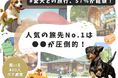 【飼い主400人に調査】愛犬との旅行先No.1は長野県!1〜2泊派が多数&人気スポット・リアル体験談を一挙公開