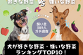 【飼い主389人に調査】犬が好きな野菜No.1は断トツ●●だった!嫌いな野菜ランキングも公開