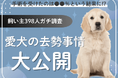 【飼い主398人に調査】愛犬の去勢に踏み切ったのは●●%!葛藤と安心のリアルエピソード集