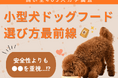 【飼い主403人に調査】小型犬のドッグフード選び、“安全性より●●を重視”という意外な結果に