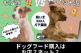 【飼い主300人に調査】犬のドッグフード購入は意外にも●●派が7割！お店VSネットの“今どきの答え”が明らかに！