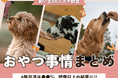 【飼い主400人に調査】約●割が愛犬に毎日おやつを与えている事実！与えすぎ注意…知らないと危険な“量バランス”とは？