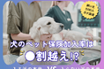 【飼い主500人に調査】犬の保険加入率は驚きの●割超え！「もしも」に備える人が急増中