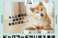 【350人調査】ドッグフード切り替え、実施率は衝撃の●割！愛犬の「マンネリ」を打破する飼い主が急増中