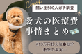 【飼い主500人に調査】愛犬の医療費10万円超えは、まさかの●割…！高額化で加速する「備え」の新常識