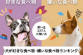 【飼い主377人に調査】犬が好きな食べ物・嫌いな食べ物ランキング!圧倒的人気の食材が判明…!